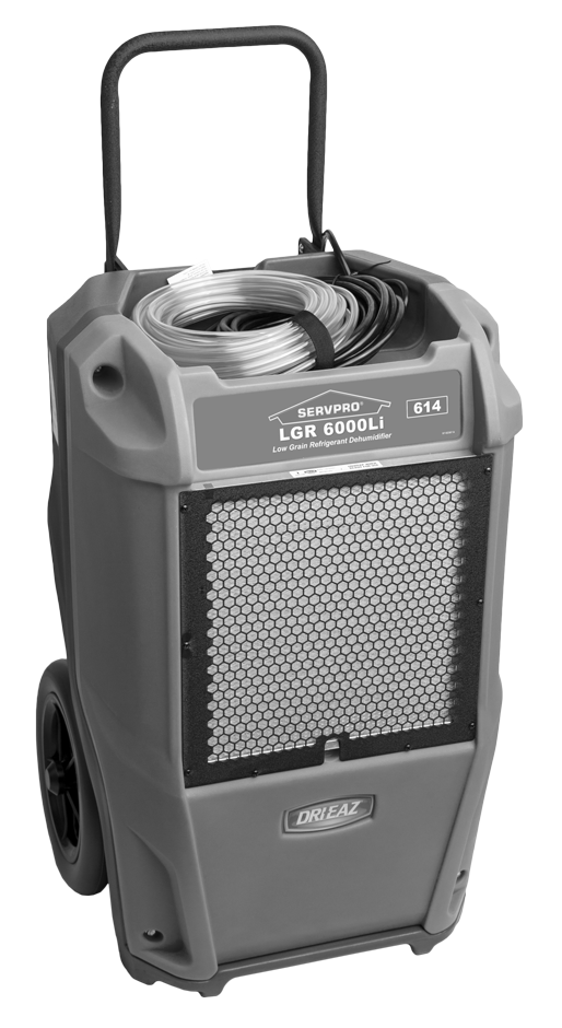 LGR600Li_FaceR_SP_BW