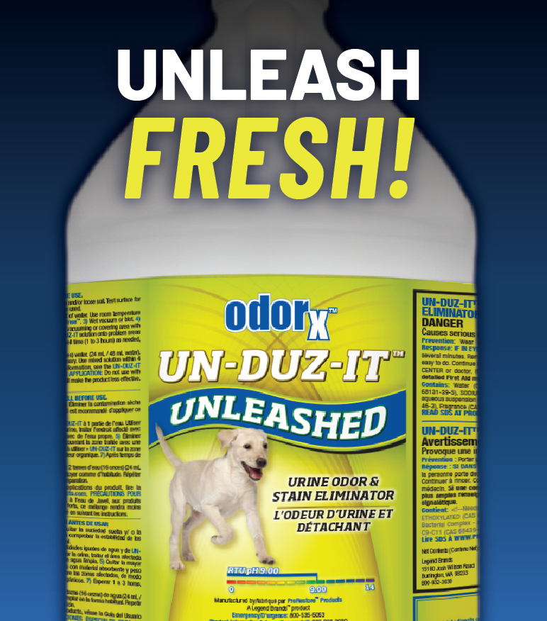 LB_HomePage_370x420-02