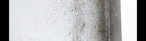 Wall surface with visible mold spots.