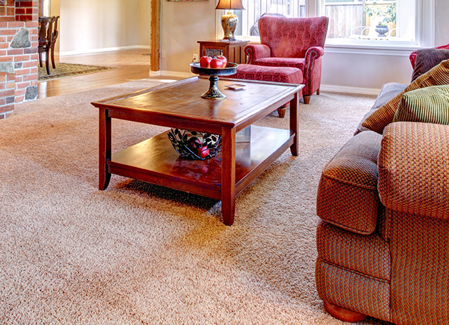 Legend Brands Removing Furniture Stains from Carpet