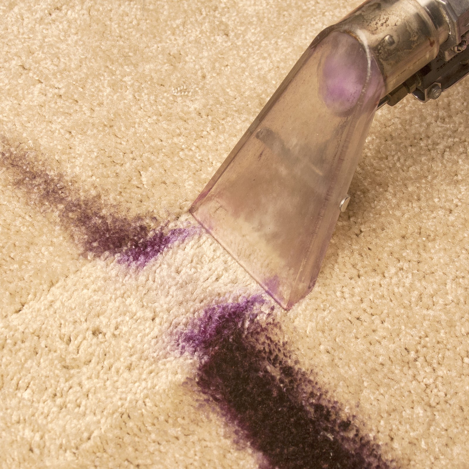 Legend Brands How to Remove Ink, Marker and Makeup from Carpet